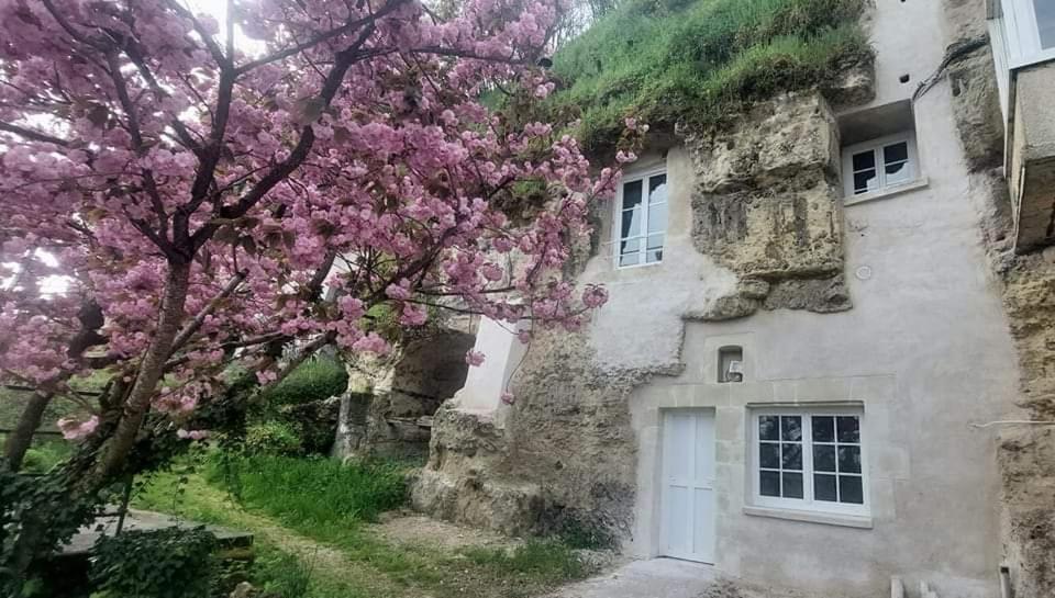 Troglo Entre Caves Et Chateaux Montlouis sur Loire Bagian luar foto
